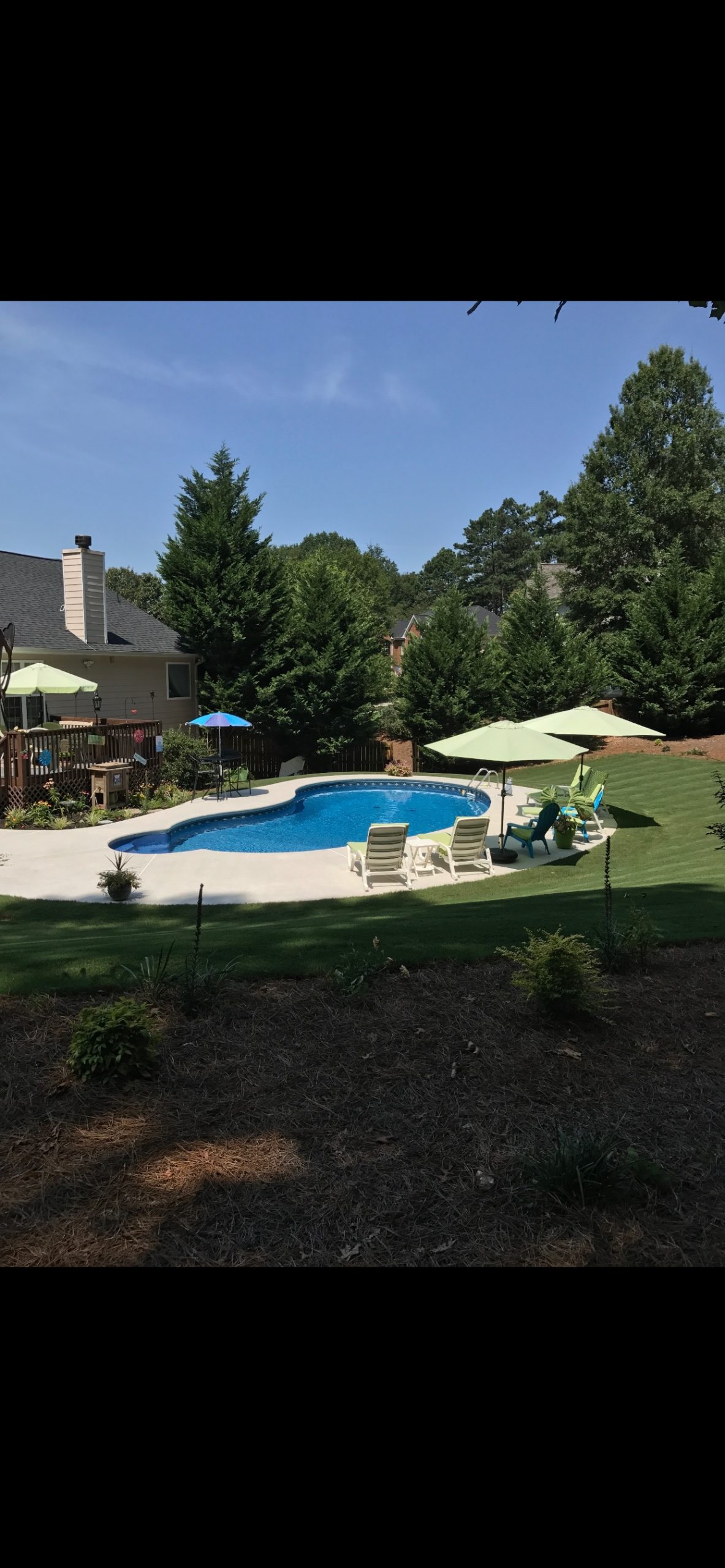 69647.76056583688 (1)